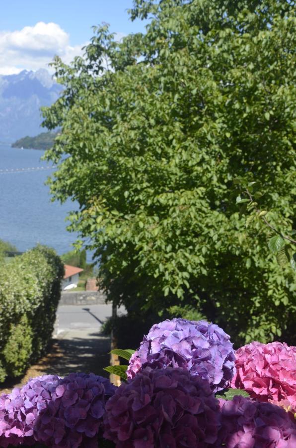 Anma Cottages The Secret Garden Pianello Del Lario Экстерьер фото